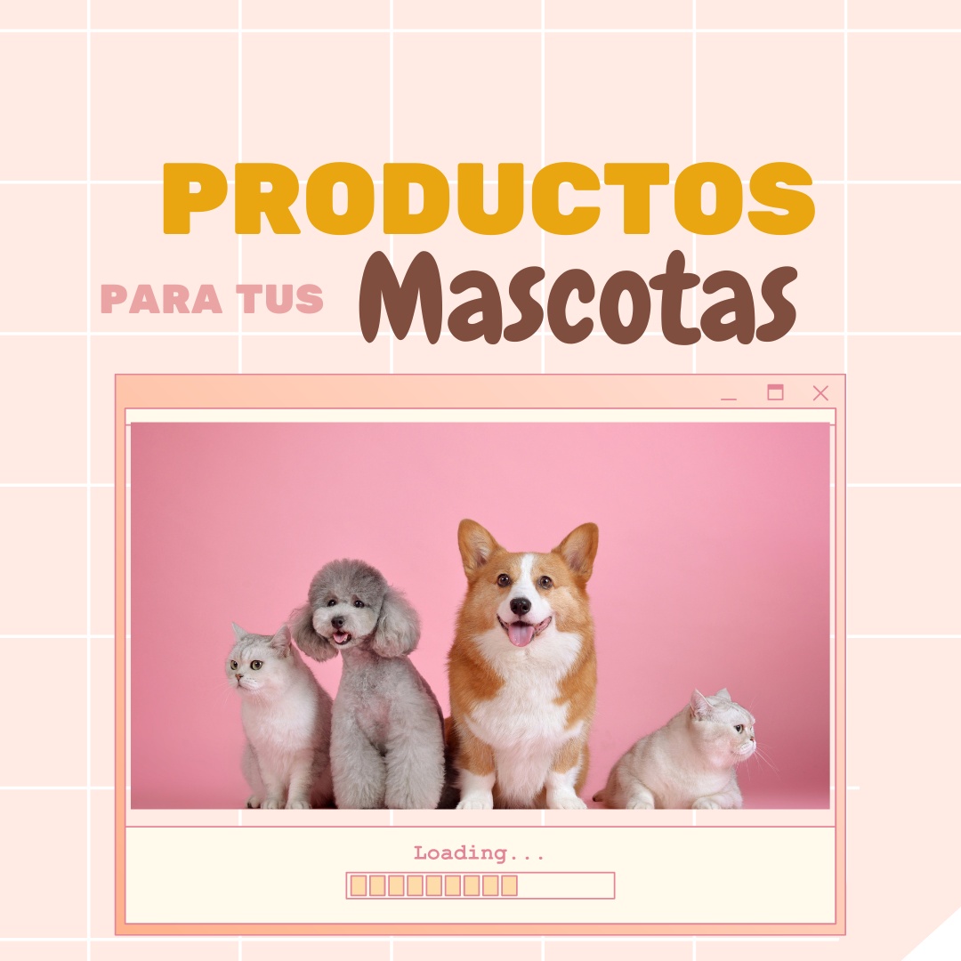 Rincón para tus Mascotas